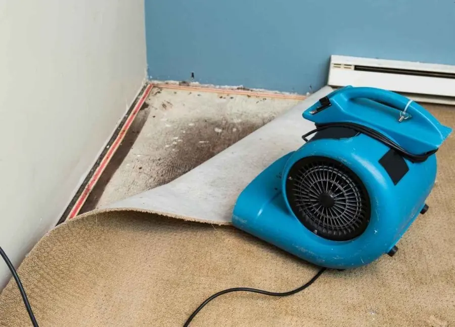 Air mover blowing under carpet folded back from the wall to dry the pad and subfloor in an Aliso Viejo home