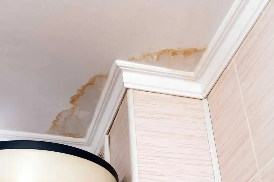 Brown water stain spreading along a ceiling corner above crown molding