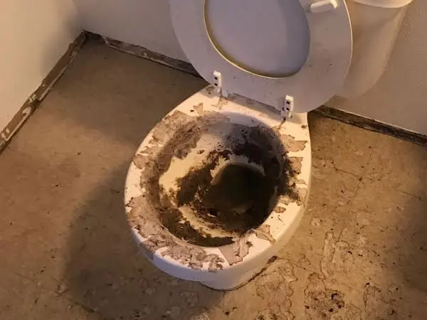 Toilet bowl filled with sewage after a backup, with soiled flooring around it
